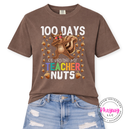 Close-up of the squirrel and rainbow teacher text on a espresso tee.