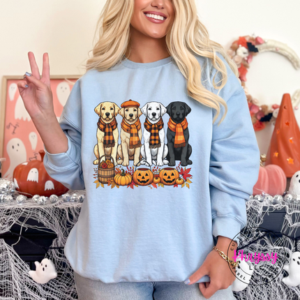 Light Blue heavyweight crewneck with a cozy fall labrador pumpkin patch print.