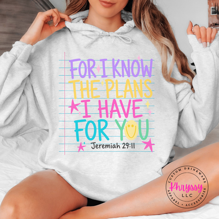 Ash hoodie with the colorful Jeremiah 29:11 for I know the plans design