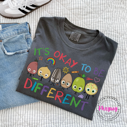 It’s Okay To Be Different — Inclusion Teacher Comfort Colors Tee
