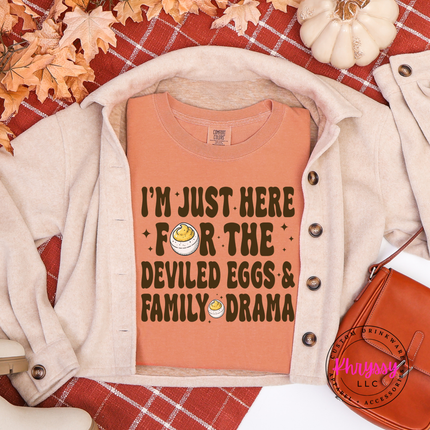 Terracotta pigment-dyed tee with a playful family drama design.