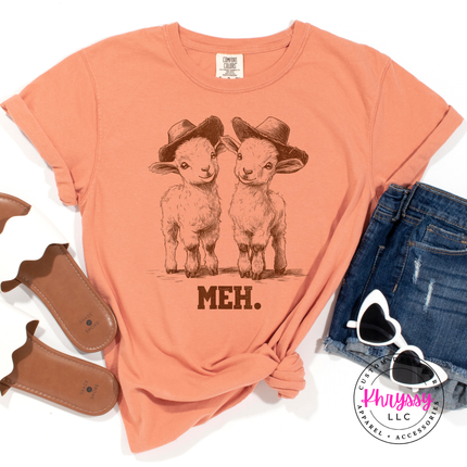 Meh Baby Goats in Cowboy Hats Funny Women's Tee | Cute Sarcastic Gift