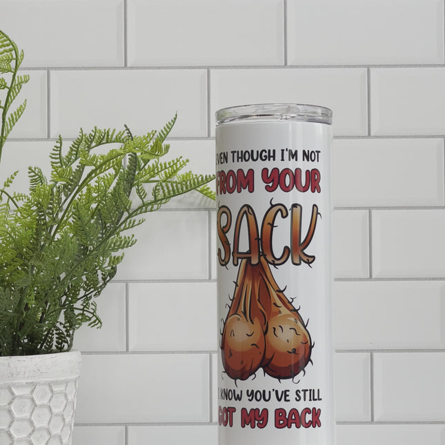 Father's Day Humor 20oz Tumbler with Straw
