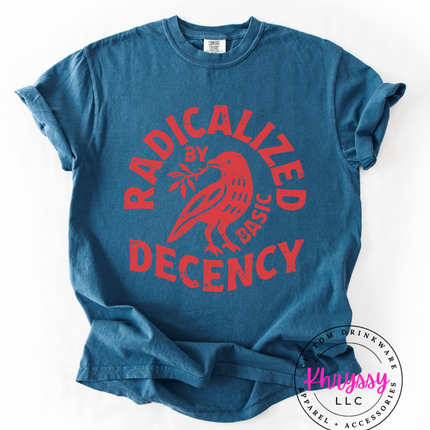 Radicalized Decency Graphic Sweatshirt | Unisex Trendy White Sweatshirt | Gift for Activists
