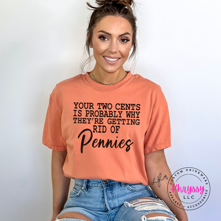 Terracotta Comfort Colors tee with a dry humor pennies joke in bold lettering.